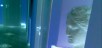 interiors_30